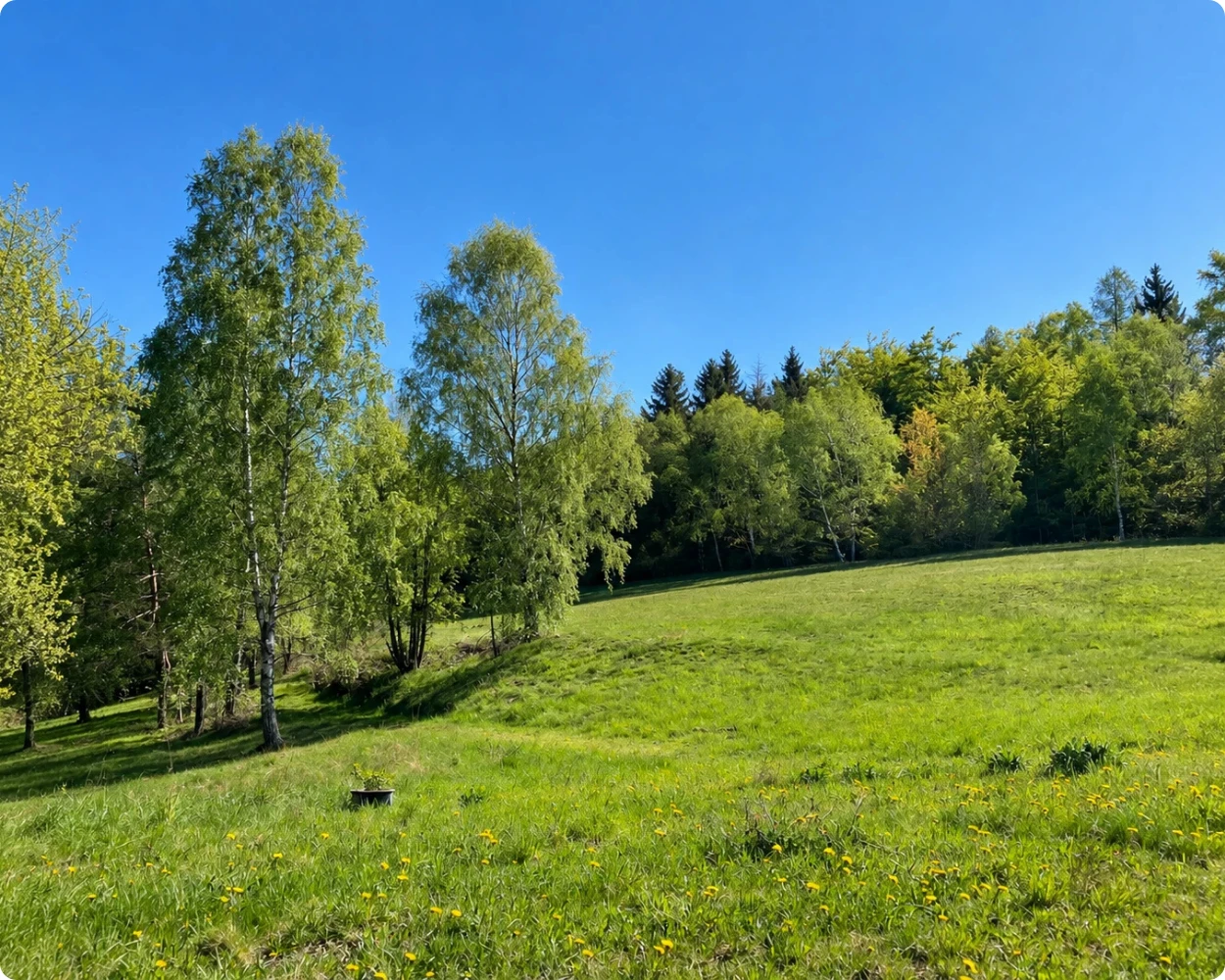 naturwiese-atemhaus-hubertushof